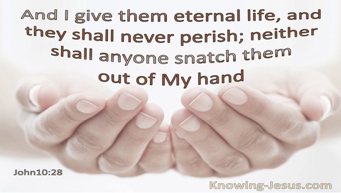 John 10:28 I Give Them Eternal Life And They Shall Not Perish None Shall Snatch Them From My Hand (pink)